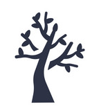 Aspen & Oak 