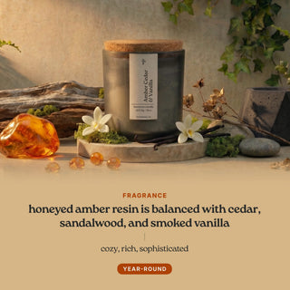 Amber Cedar & Vanilla candle scent notes