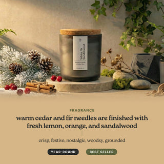White Fir Sandalwood candle scent notes